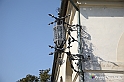 VBS_6895 - Villa Widman - Mira (Venezia)